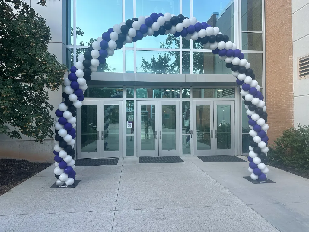 Classic Arch photo 5
