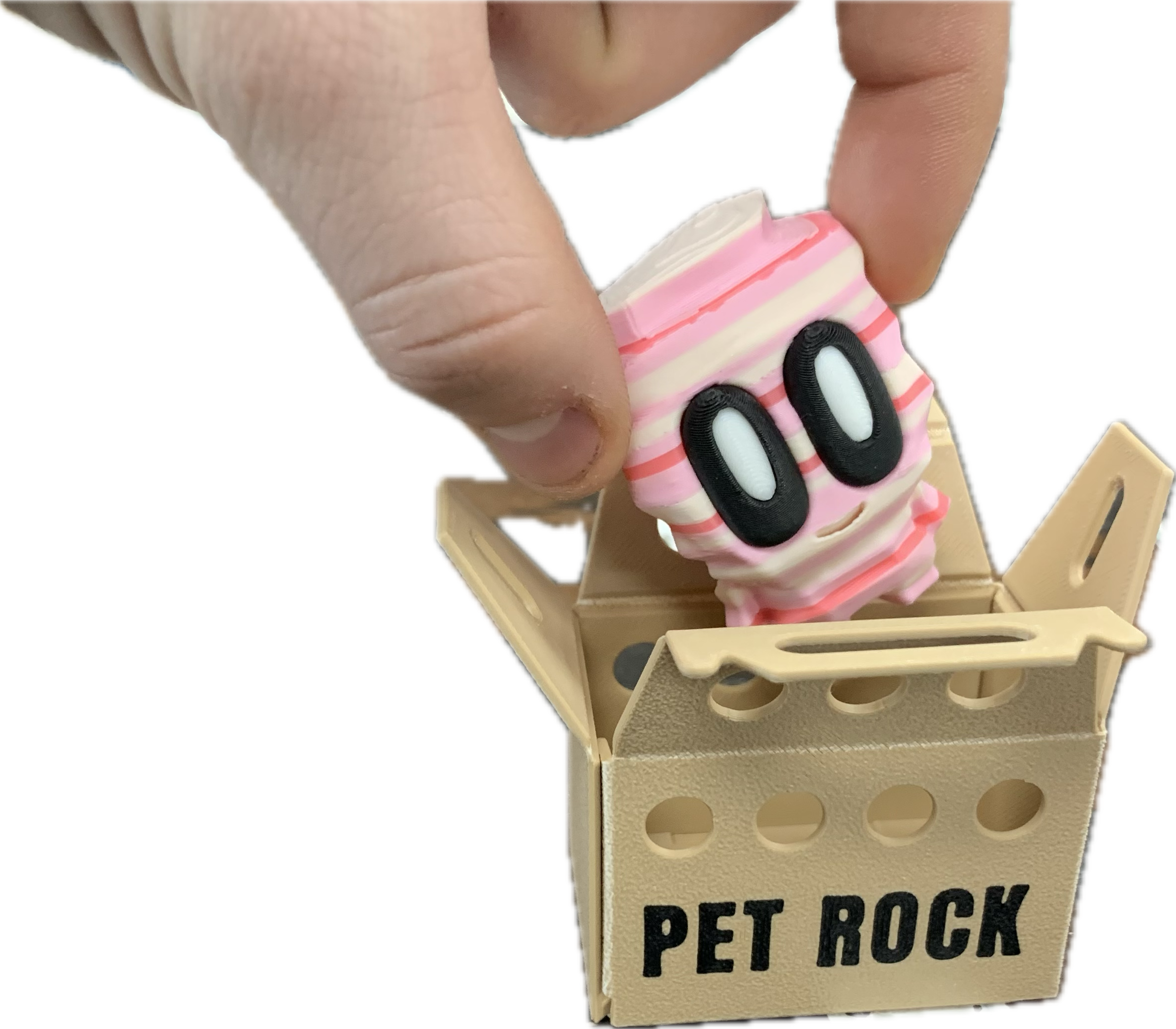 Valentines Pet Rock